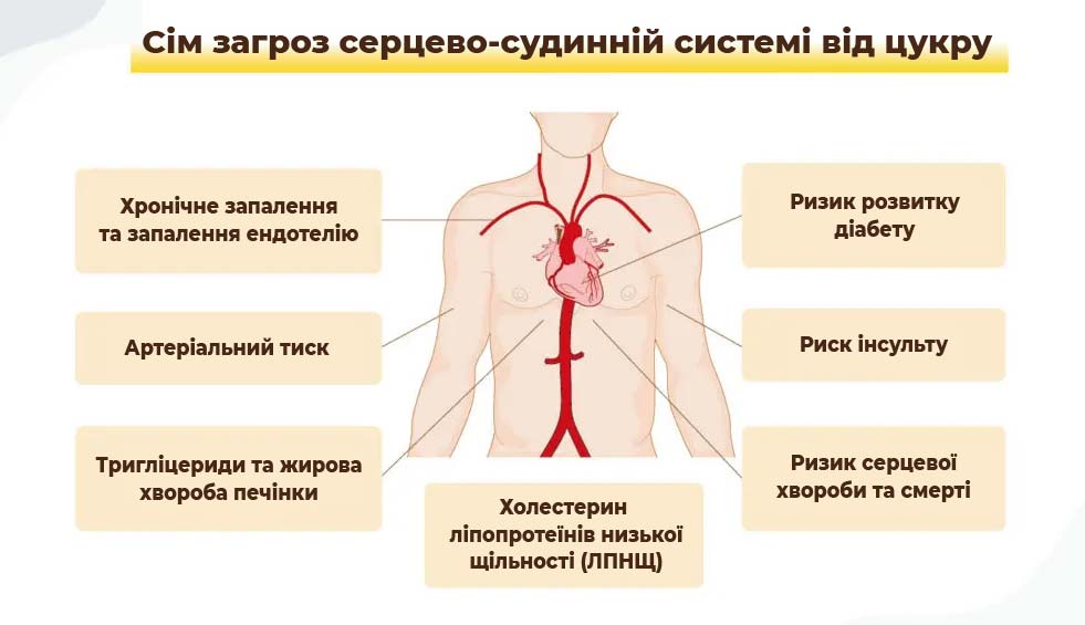 7 загроз цукру для серця