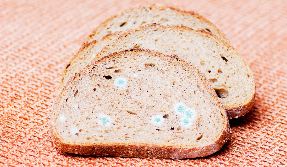 Опасны ли продукты с плесенью: микотоксины, риски и факты