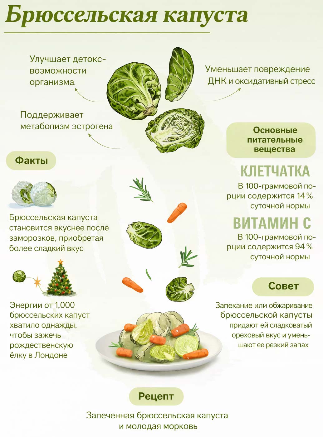 Несколько фактов о брюссельской капусте
