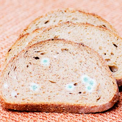 Опасны ли продукты с плесенью: микотоксины, риски и факты
